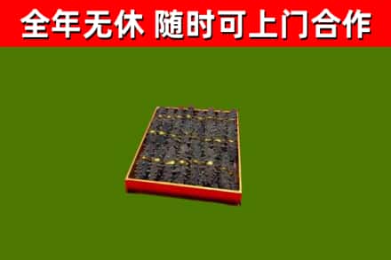 达日县回收海参